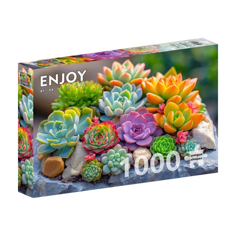 Puzzle 1000 pièces Succulents