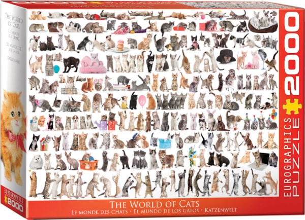 Puzzle 2000 pièces Le monde des chats