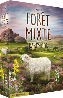 Forêt Mixte Dartmoor