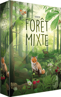 Forêt Mixte